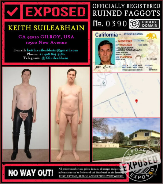 Keith Suileabhain Dog Shit Eating Loser
